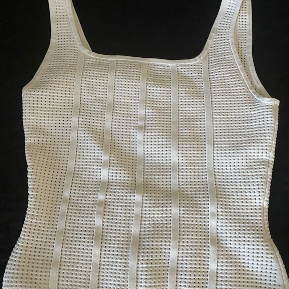 Babaton Sculpt Knit Squareneck White Ribbed Mesh Stotch Coquette Y2K Tank Size M - Picture 2 of 11